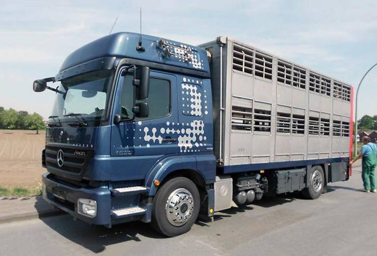 Заказать скотовоз для крупного рогатого скота из Родников в Чкаловска